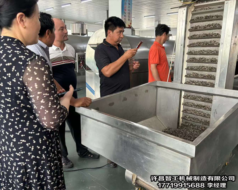 流水線(xiàn)炒貨機