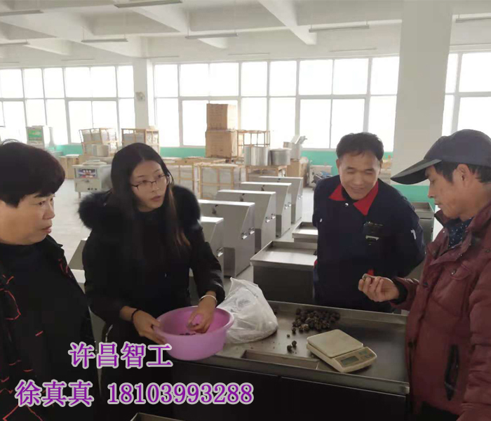 河南客戶(hù)到廠(chǎng)考察試用湯圓制陷機